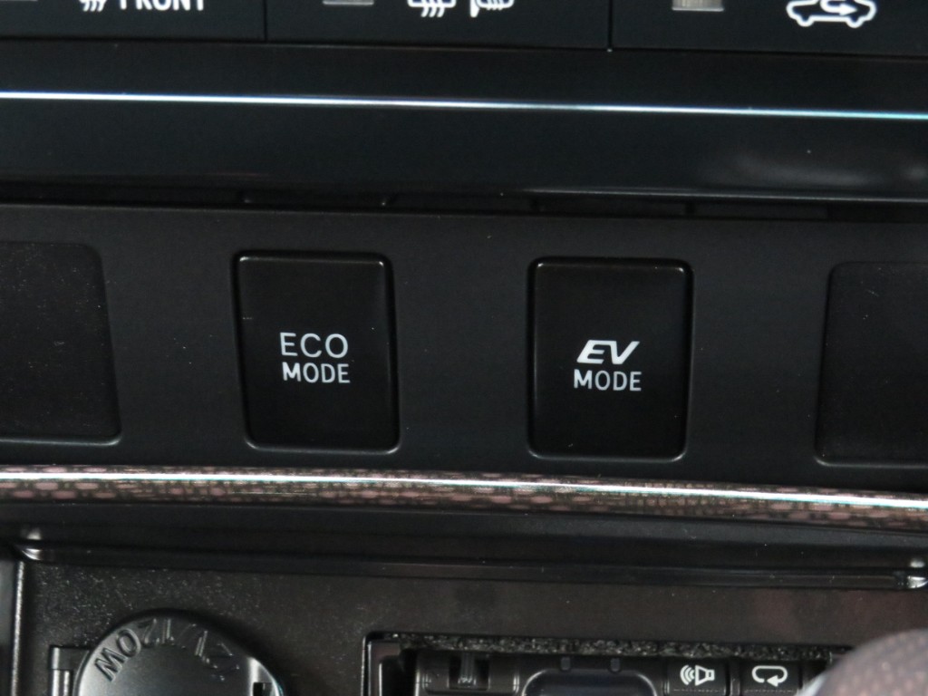 S8065019.jpg