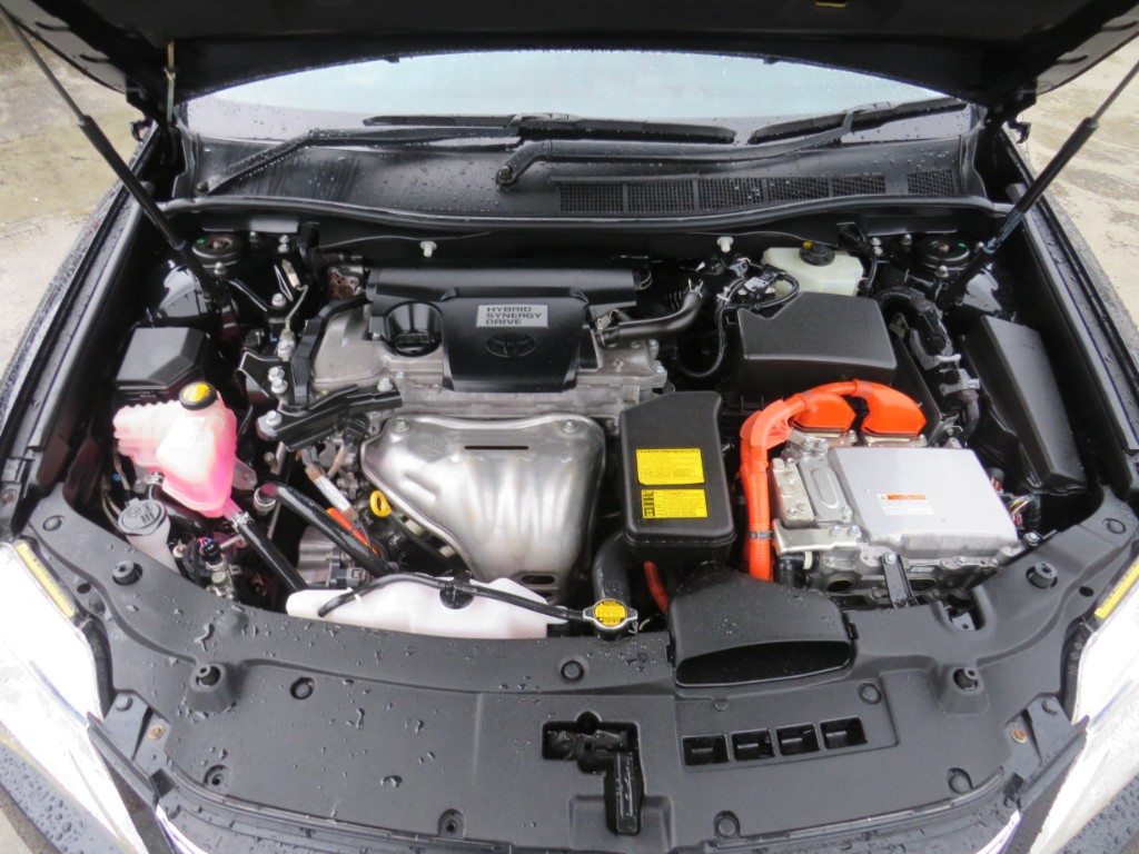 S8065020.jpg