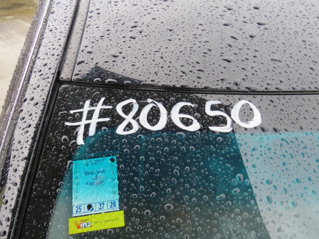 S8065021.jpg