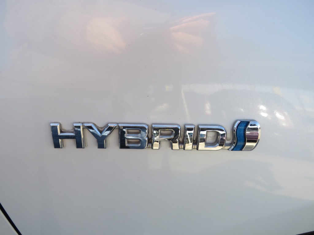 S8065112.jpg