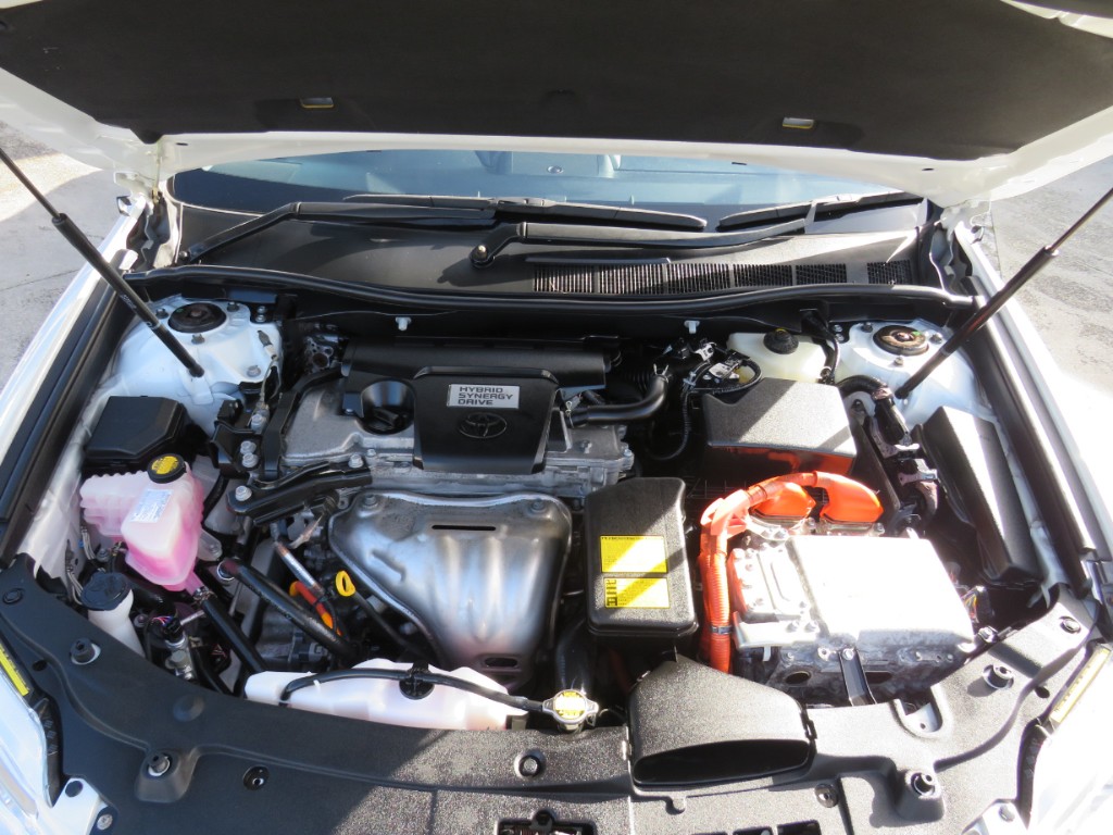 S8065121.jpg