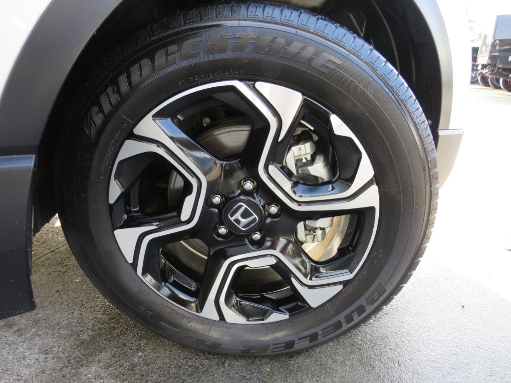 S8065813.jpg