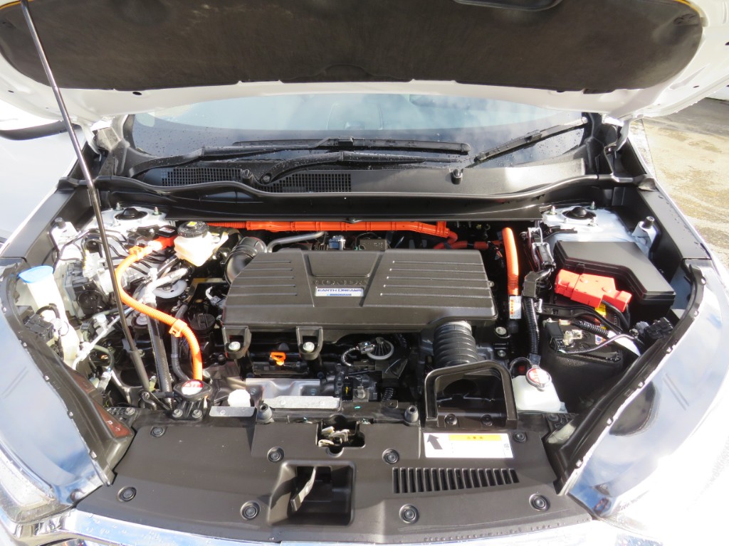 S8065820.jpg