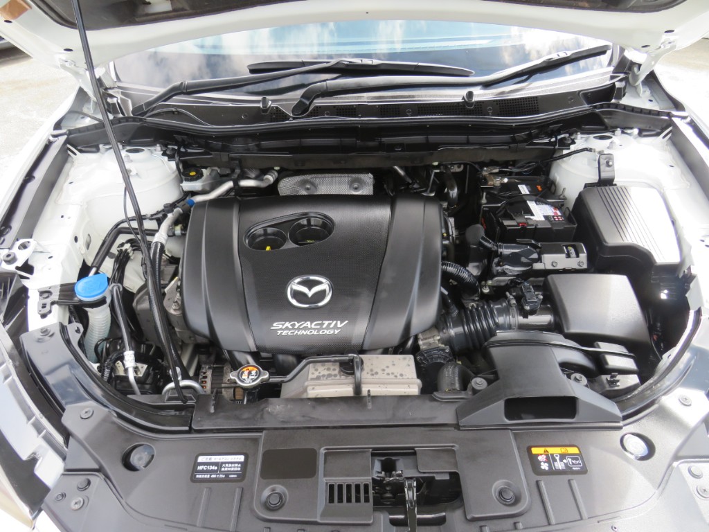 S8066020.jpg