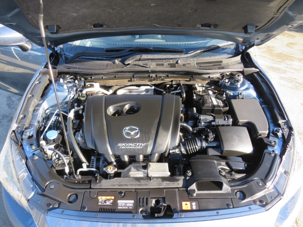 S8066621.jpg