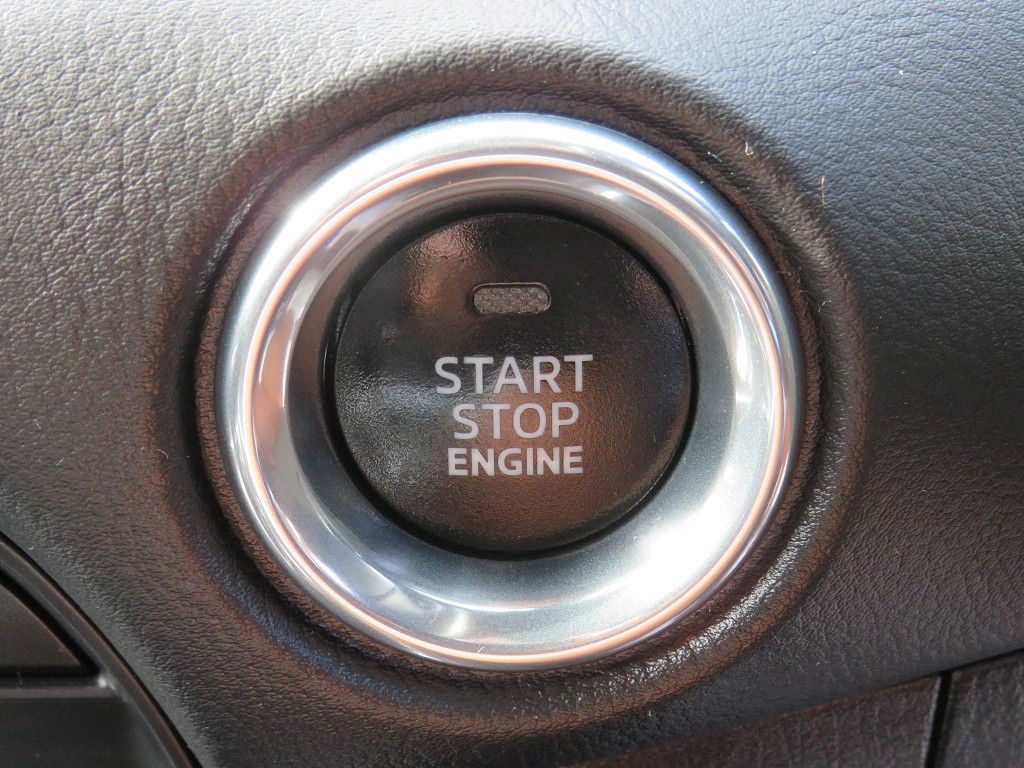 S8066720.jpg