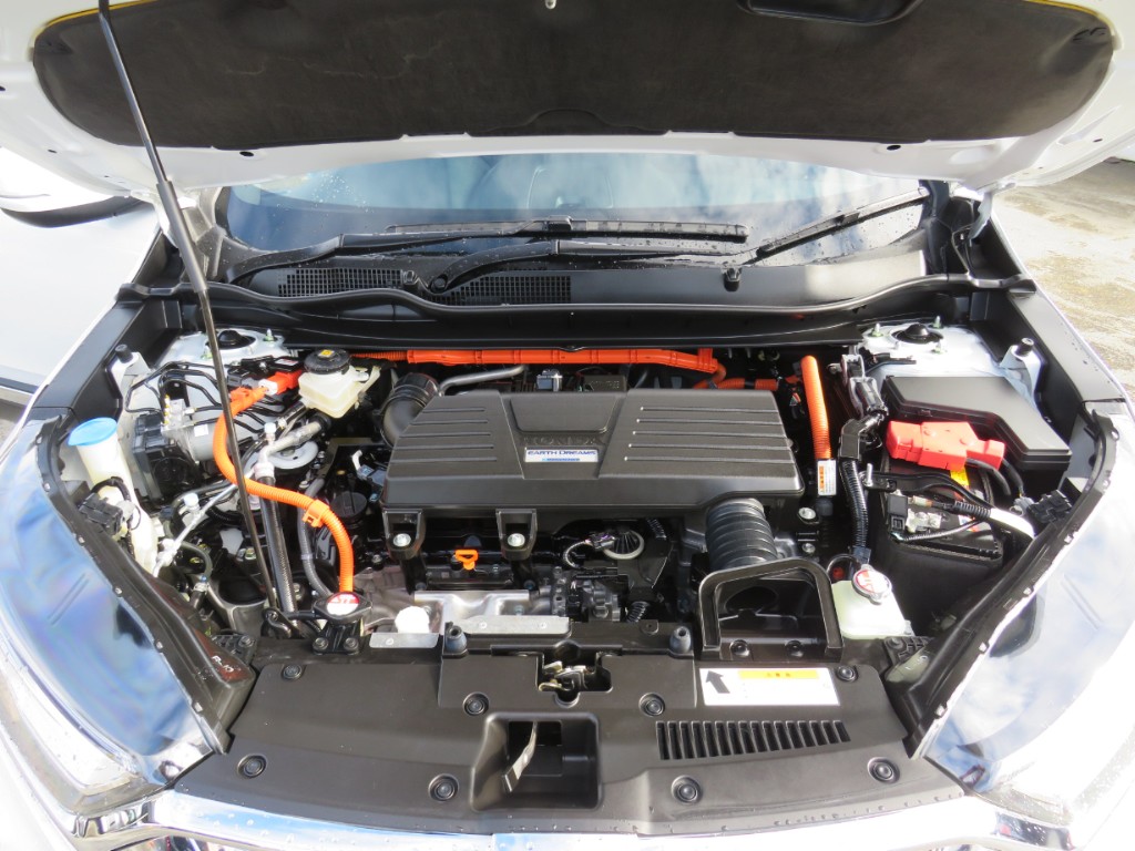 S8067420.jpg