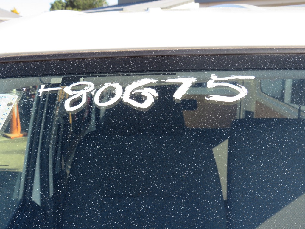 S8067520.jpg