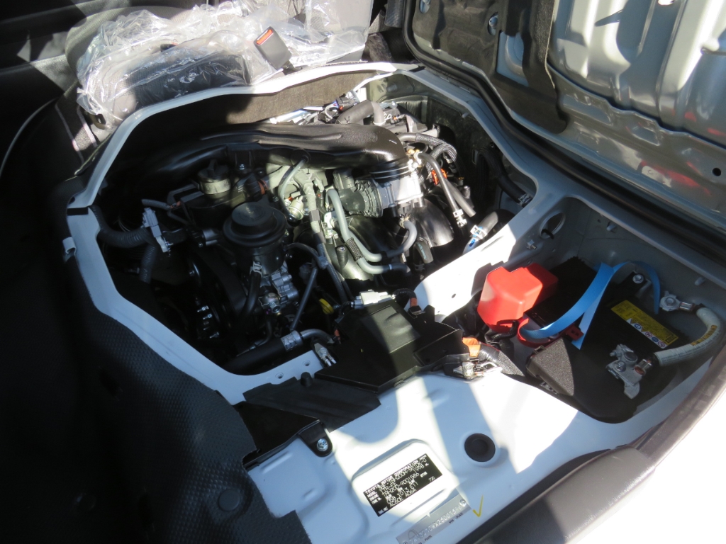 S8068421.jpg