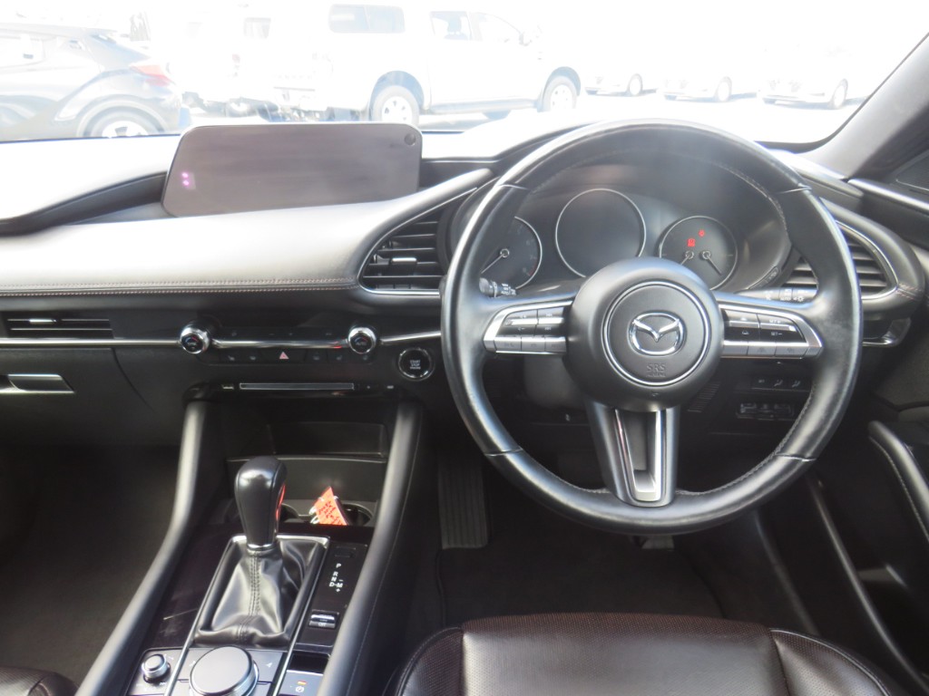 S8068613.jpg