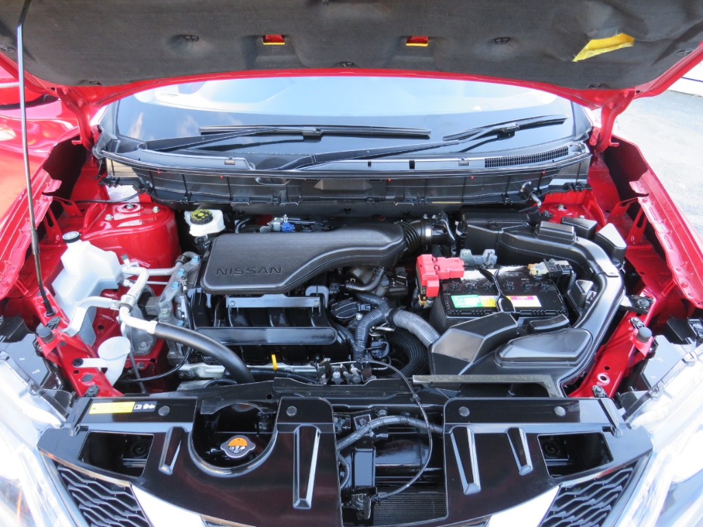 S8069521.jpg