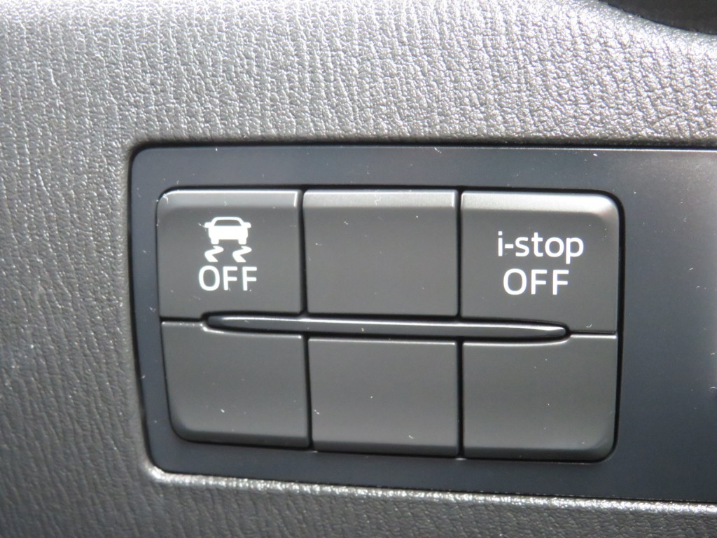 S8070318.jpg