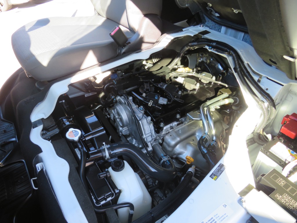 S8071519.jpg