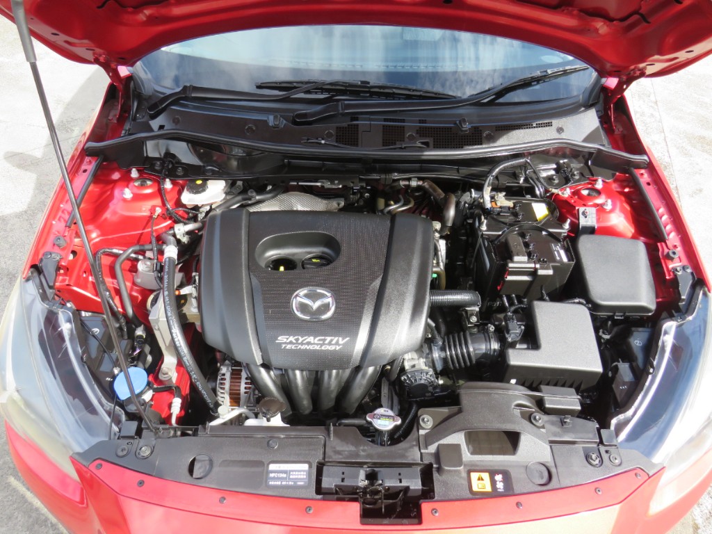 S8072420.jpg