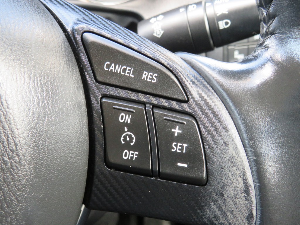 S8073519.jpg