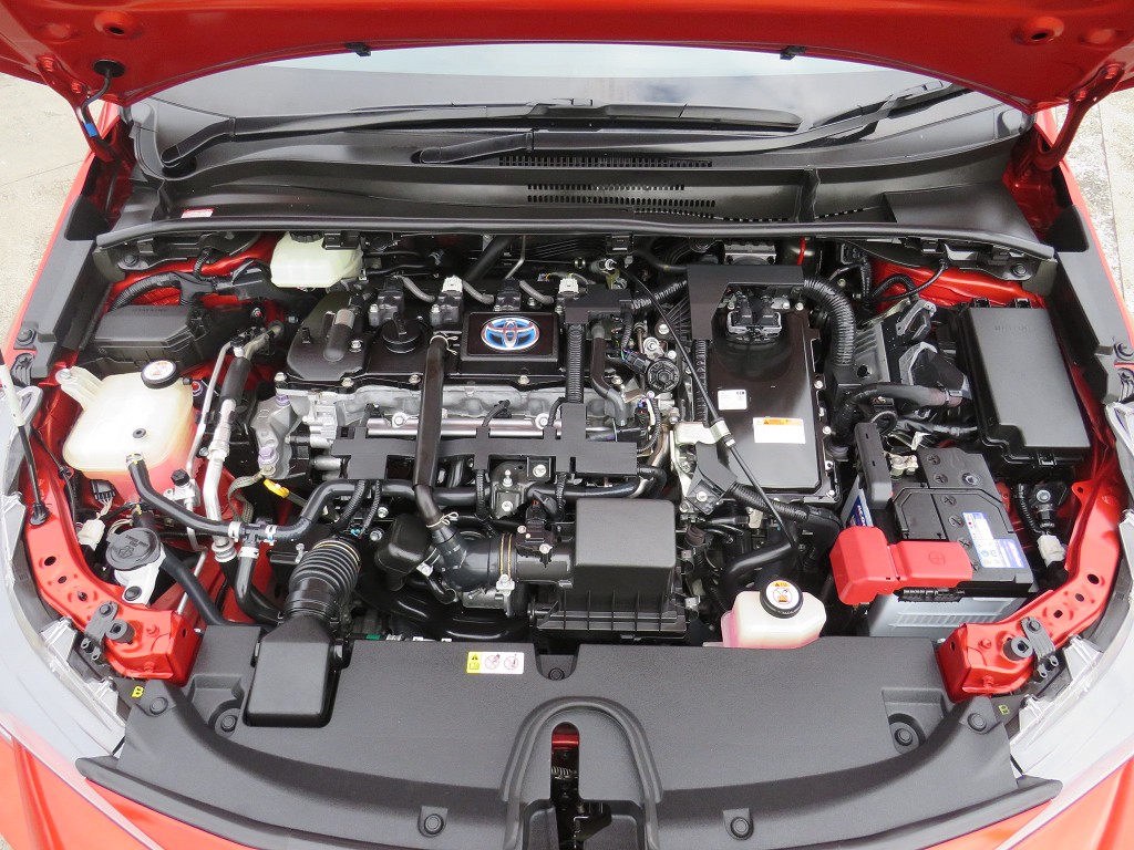 S8074621.jpg