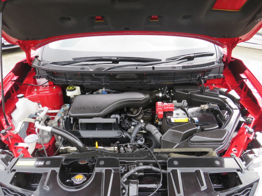 S8075520.jpg