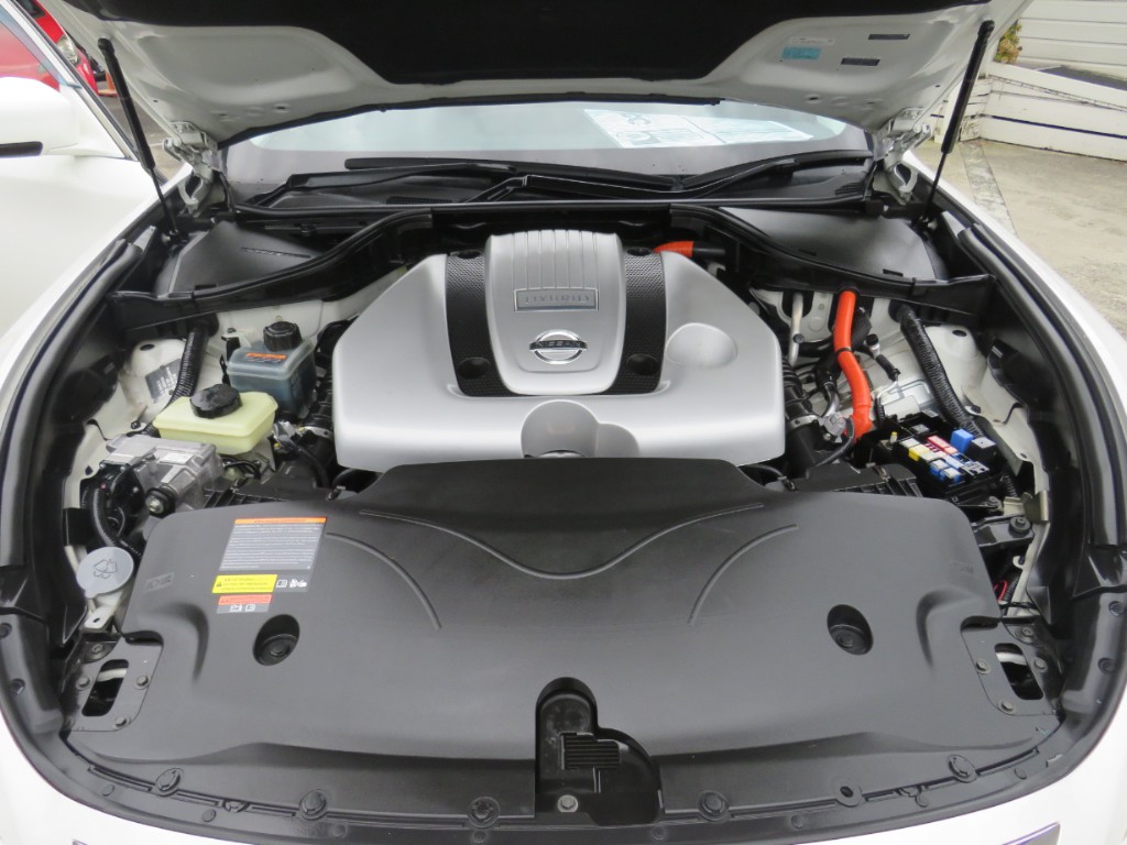 S8076020.jpg