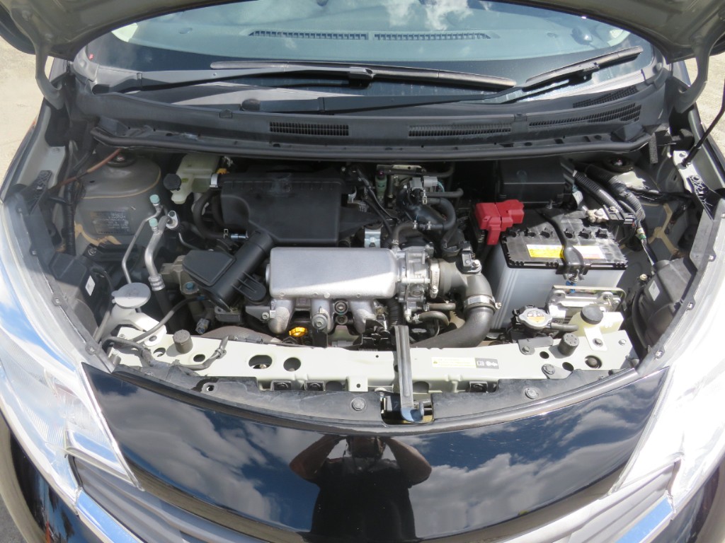 S8076119.jpg