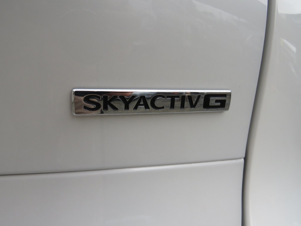 S8076310.jpg