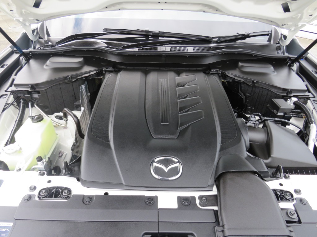 S8076321.jpg