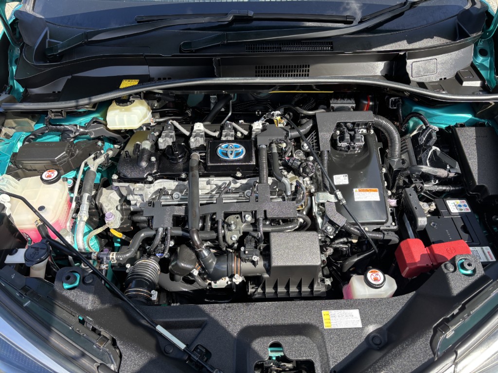 S8076719.jpg