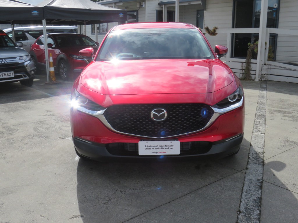 S807982.jpg