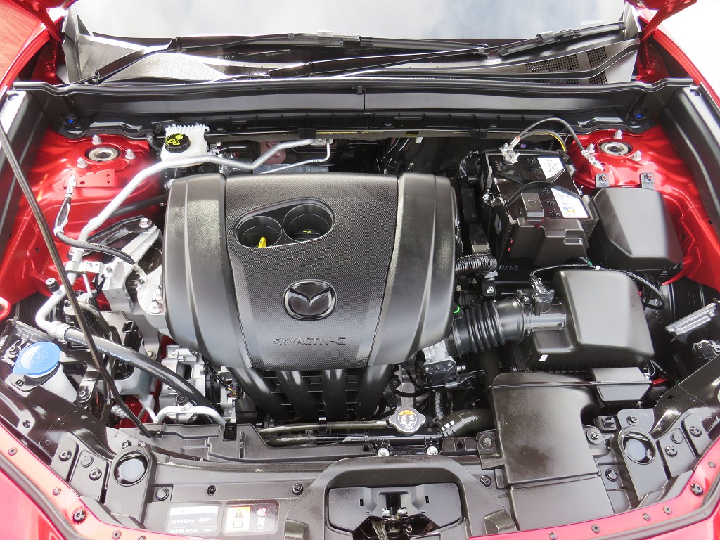 S8079821.jpg