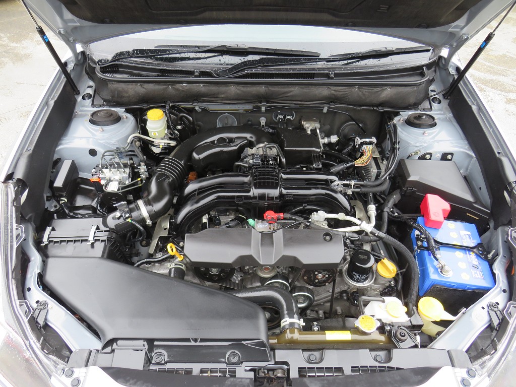 S8081120.jpg