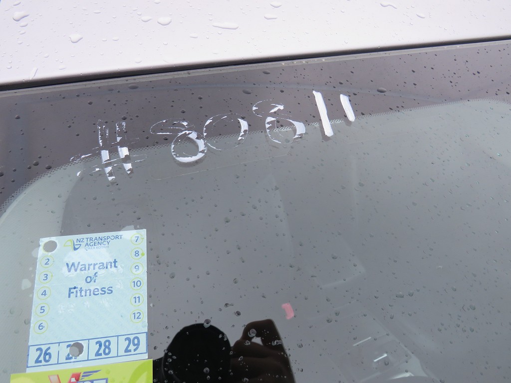 S8081121.jpg