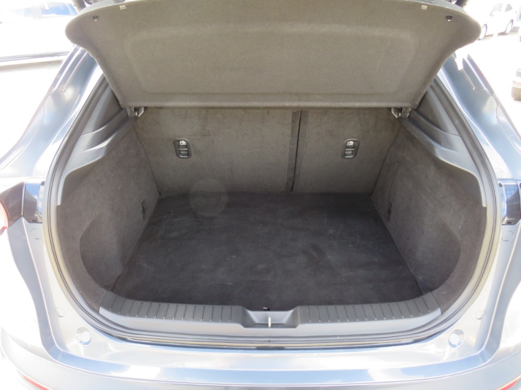 S8081911.jpg