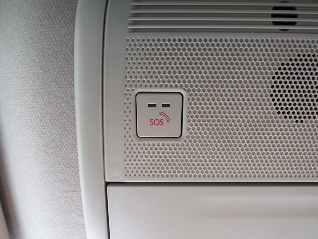 S8081920.jpg