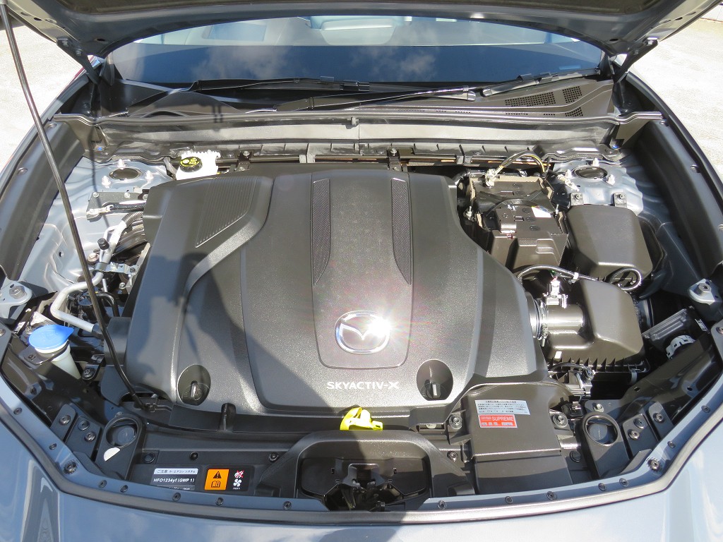 S8081921.jpg