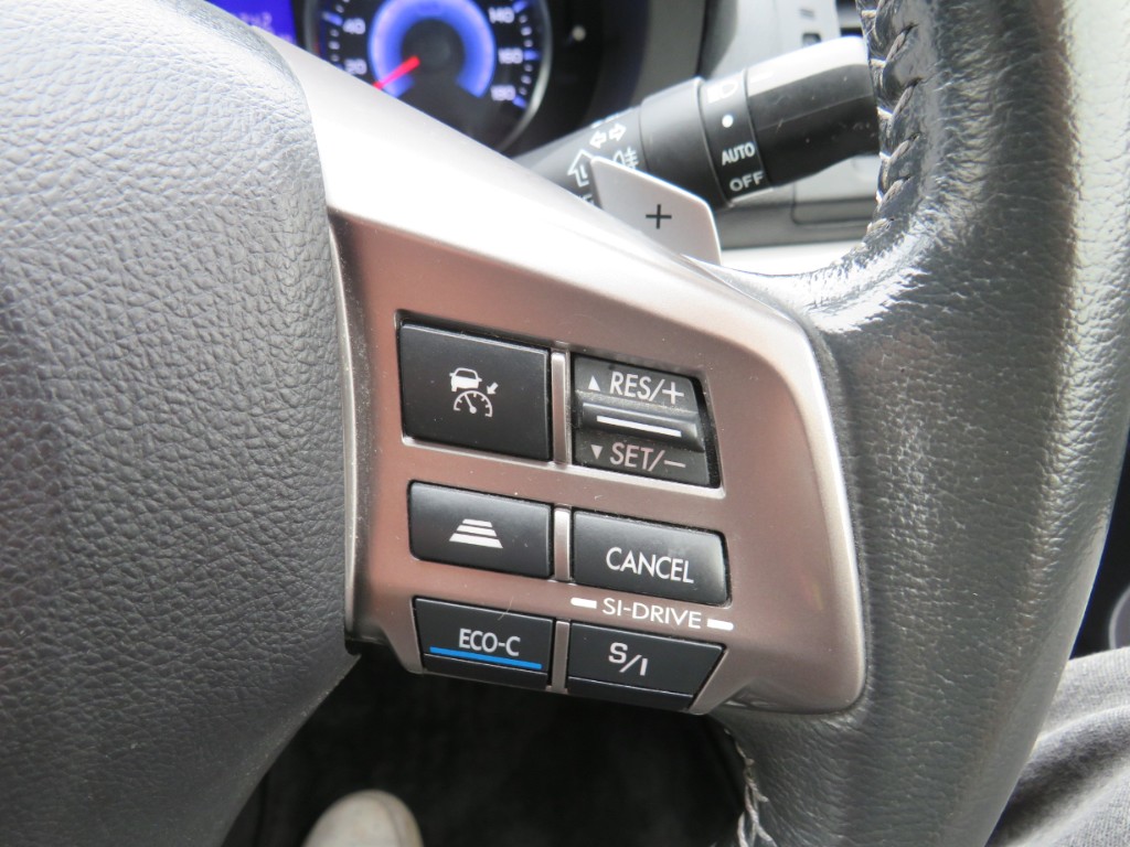 S8086618.jpg