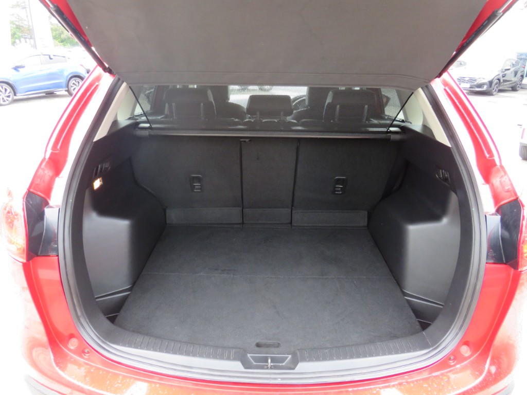 S8087512.jpg