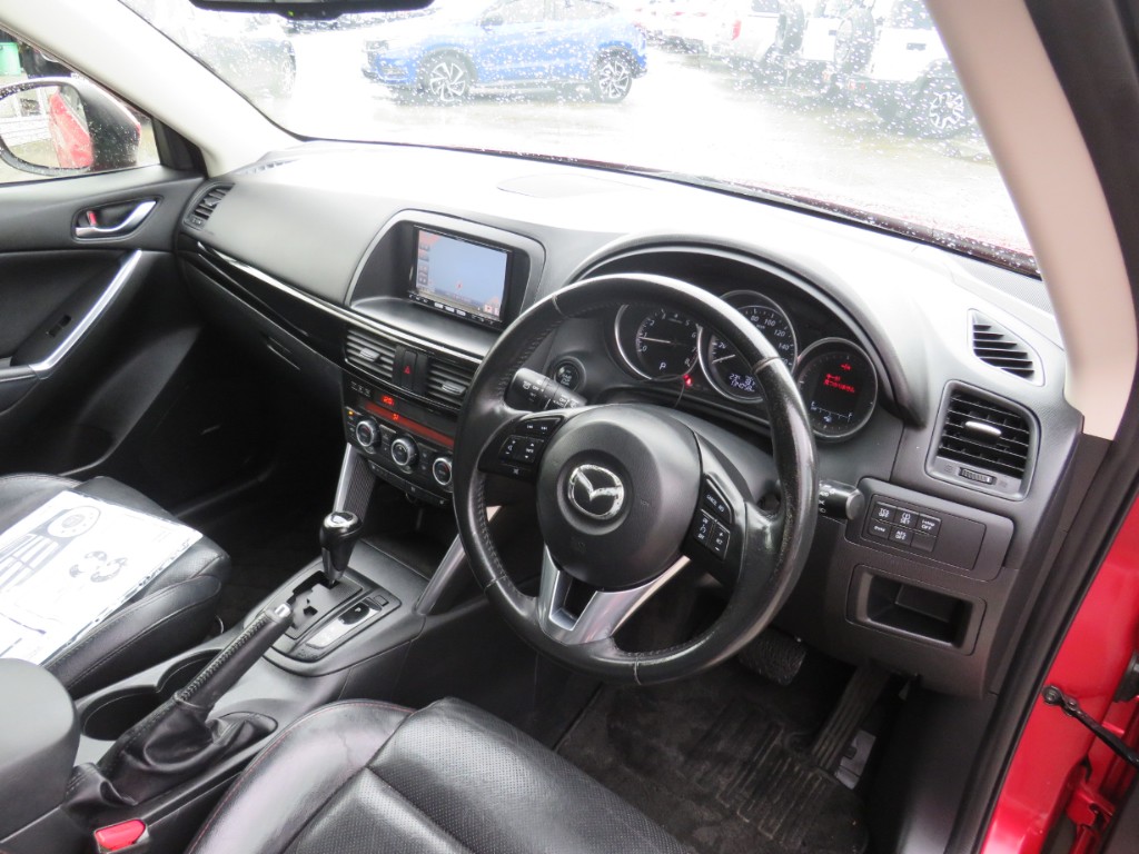 S8087515.jpg