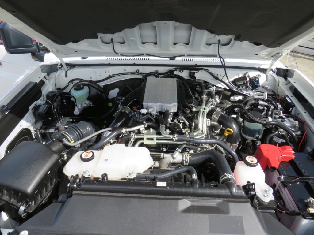 S8089221.jpg