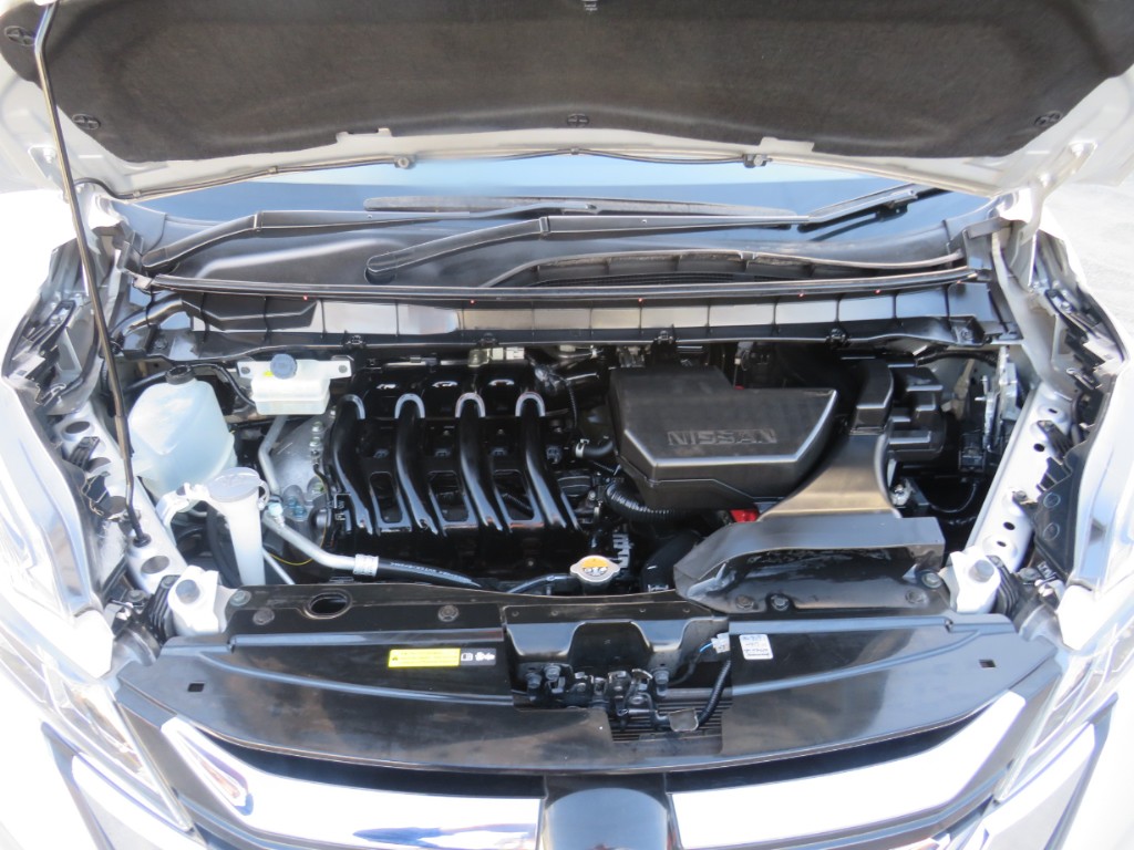 S8090420.jpg