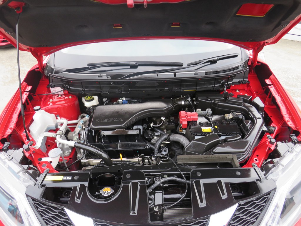 S8090521.jpg