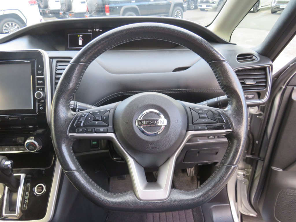 S8091515.jpg