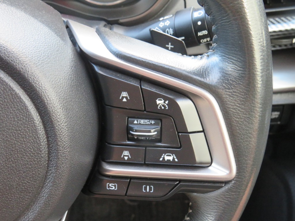 S8091616.jpg