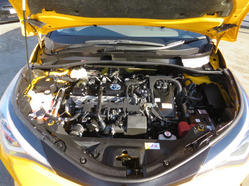 S8091820.jpg