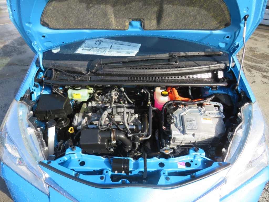 S8092121.jpg