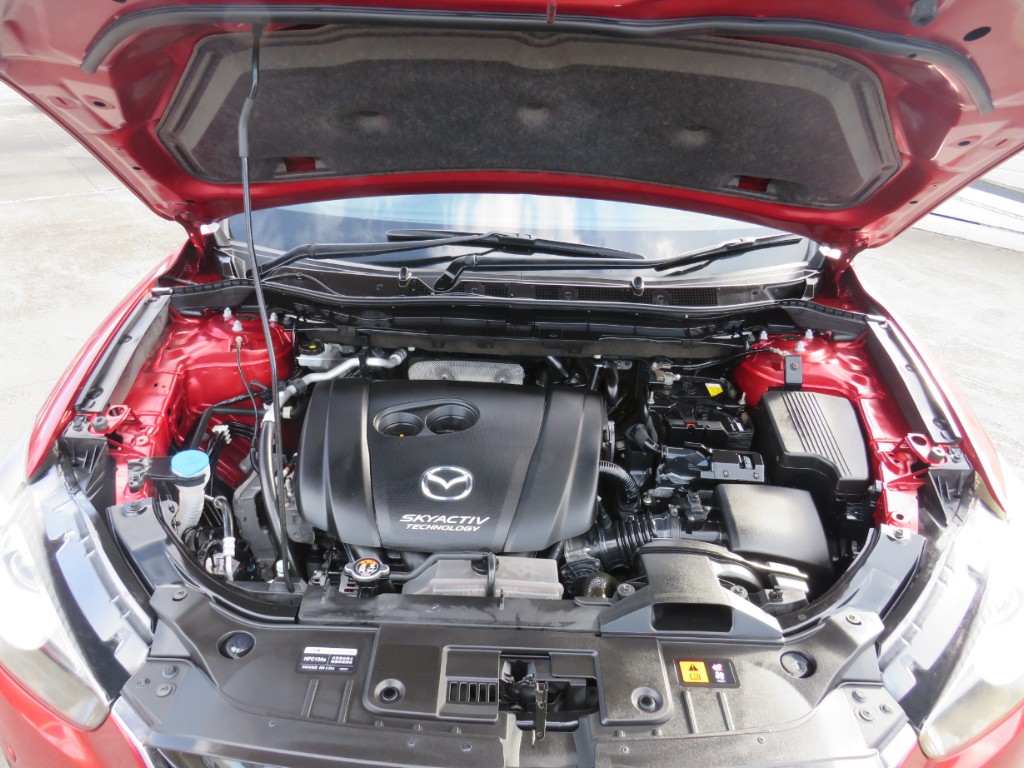 S8092619.jpg