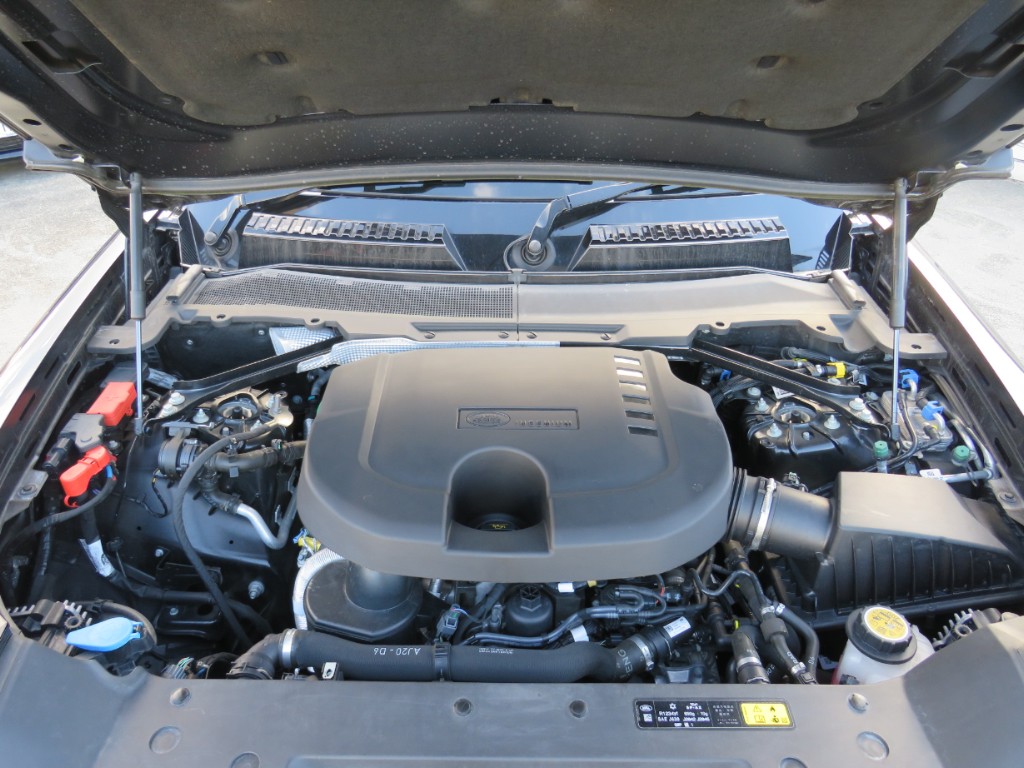 S8093021.jpg