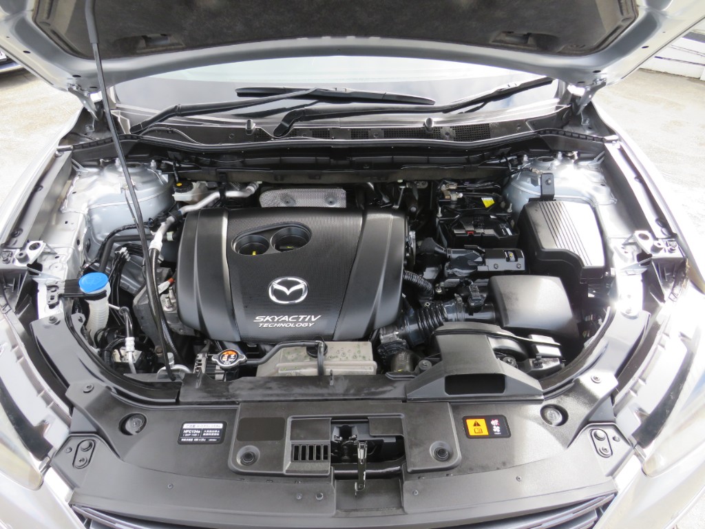 S8093221.jpg