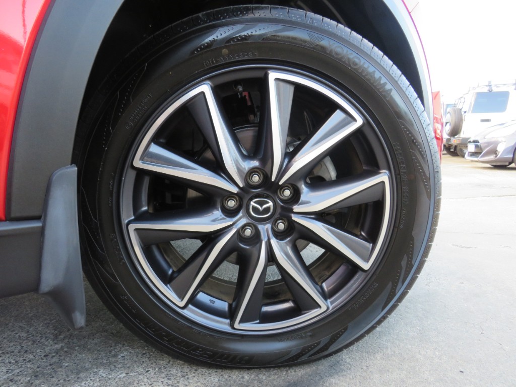 S8094010.jpg