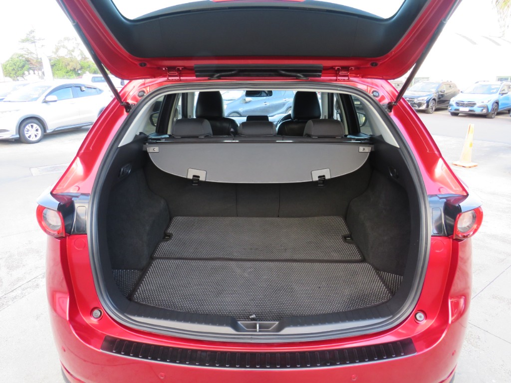 S8094011.jpg