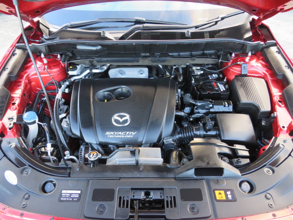 S8094020.jpg