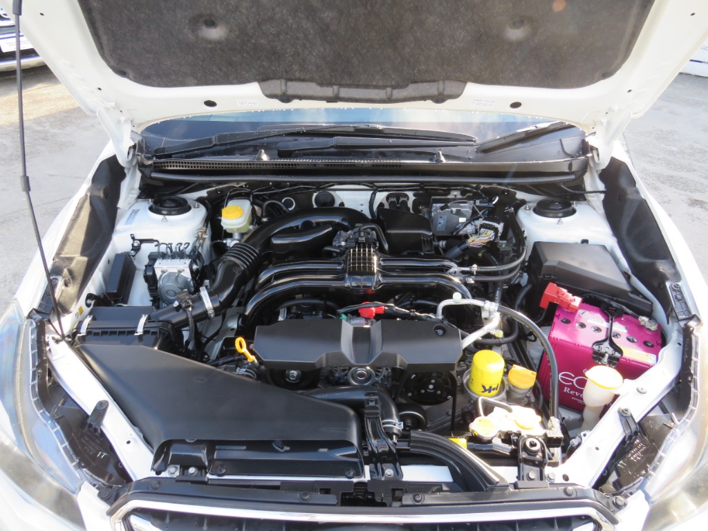 S8094419.jpg